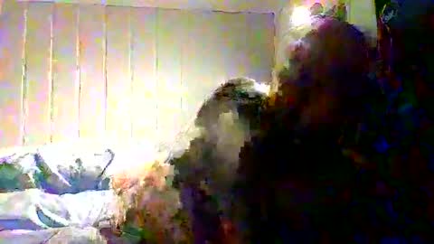 real_viking1 online show from November 22, 8:13 am