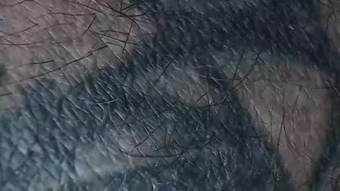 realrubpirate online show from March 18, 8:50 am