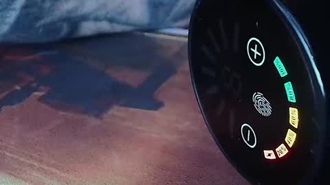 realrubpirate online show from April 12, 6:51 am