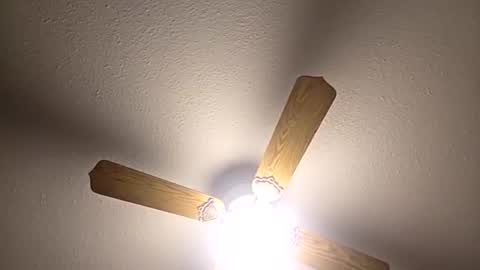 Snapshot of red24devils chatting on December 3, 5:04 am red24devils online show from December 3, 5:04 am