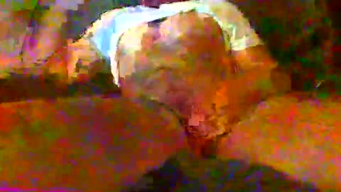 Snapshot of redtxchopper chatting on November 18, 1:33 am redtxchopper online show from November 18, 1:33 am