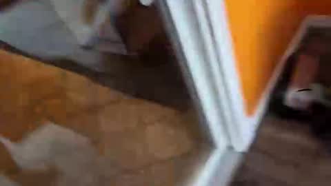 reggie007007 online show from January 7, 2:08 pm