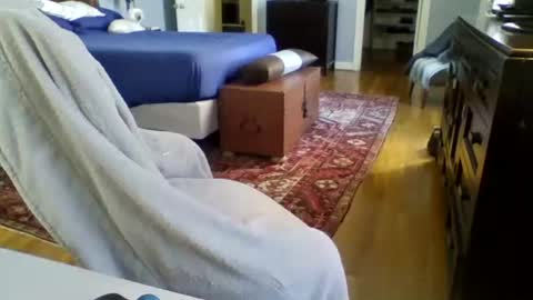 RegularGuyNOLA online show from January 24, 6:14 pm