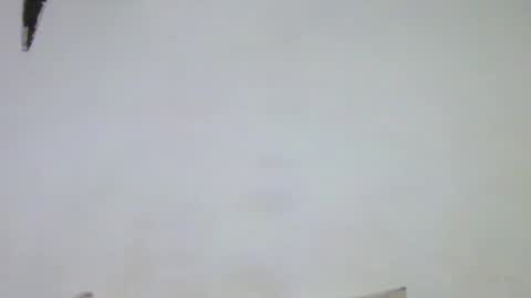 Walter online show from April 10, 5:34 am