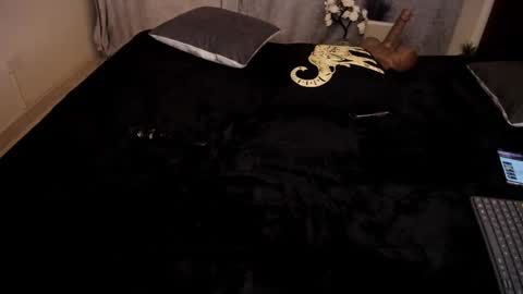 Snapshot of rhondavines chatting on January 6, 10:47 pm Rhonda online show from January 6, 10:47 pm