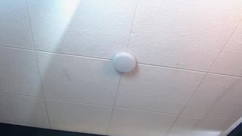 Ricardo online show from September 19, 1:45 pm