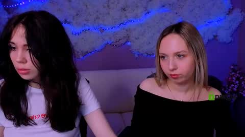 Meow online show from March 24, 8:36 pm