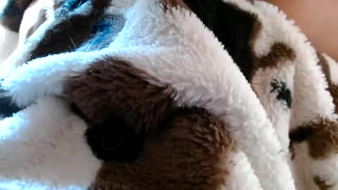 risingphoenix23 online show from April 19, 10:12 pm