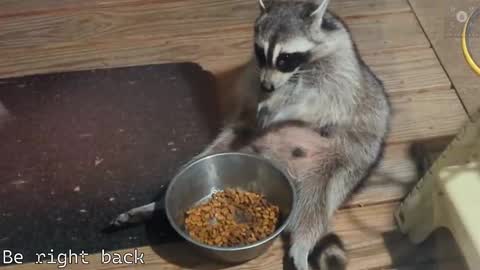 Ryan aka KeylimeRy online show from February 28, 8:31 am