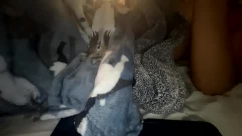 Snapshot of roarmance1 chatting on October 30, 5:35 pm roarmance1 online show from October 30, 5:35 pm