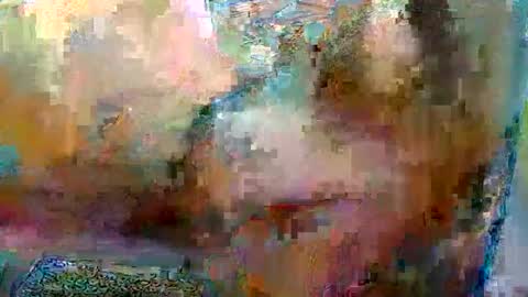 Robgrappler online show from January 17, 2:38 am