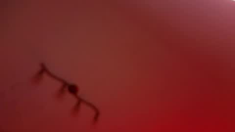 rochelle_dolly online show from April 10, 8:35 pm