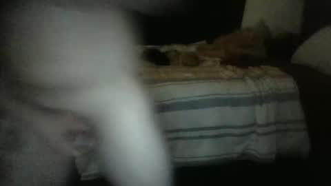 rockharder000 online show from December 23, 11:25 am