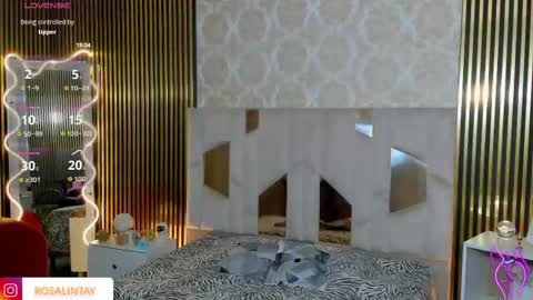 Snapshot of rosalind_tay chatting on September 14, 11:42 am ROSALIN online show from September 14, 11:42 am