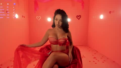 Snapshot of roseferrera chatting on February 14, 8:48 pm Rose online show from February 14, 8:48 pm