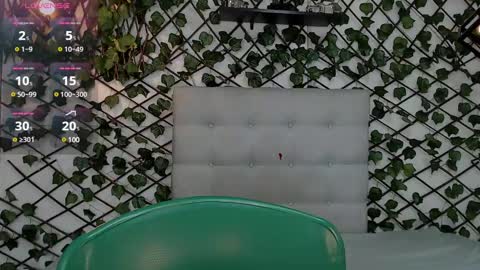 Rous online show from February 1, 3:41 am