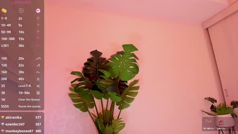 DREAM online show from January 5, 12:20 am