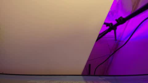 Roxane online show from March 3, 3:34 am