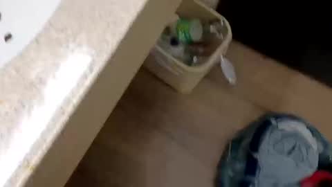 rozayfun online show from November 21, 9:57 pm