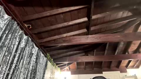 Richhancocc online show from January 19, 1:15 pm