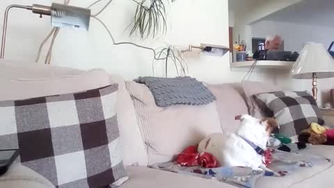 Snapshot of rustyx22 chatting on March 8, 6:58 pm Rusty online show from March 8, 6:58 pm