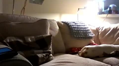 Snapshot of rustyx22 chatting on October 2, 1:34 am Rusty online show from October 2, 1:34 am