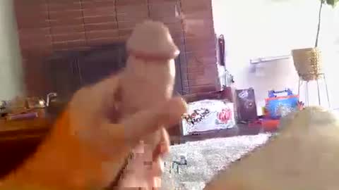 ryanbobby88 online show from October 16, 9:27 pm