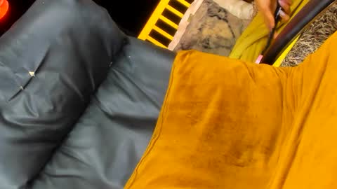 Sabrina online show from January 7, 1:46 pm