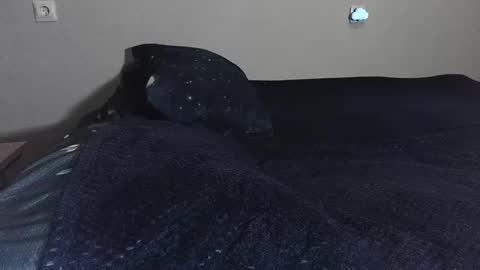 pluto online show from February 17, 10:47 pm