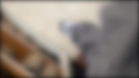 salgemma online show from March 2, 3:19 pm