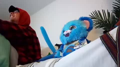 salis1981 online show from January 22, 2:04 am