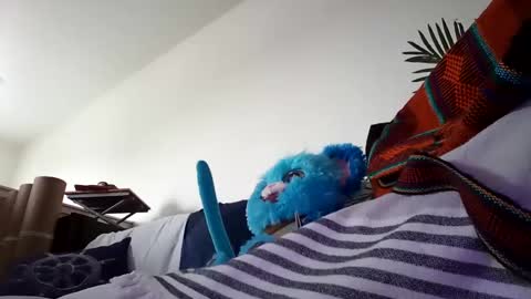 salis1981 online show from January 25, 10:28 pm