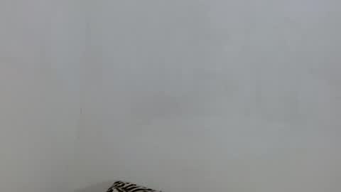 salome online show from November 4, 6:29 pm