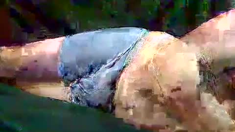 Snapshot of sam5554401727 chatting on November 10, 6:40 pm sam5554401727 online show from November 10, 6:40 pm