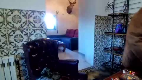 Snapshot of sam_papithebarber chatting on December 20, 8:32 am sam_papithebarber online show from December 20, 8:32 am