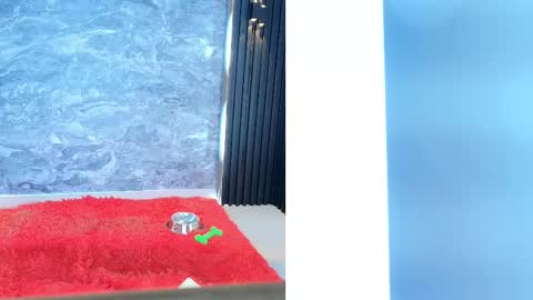 Snapshot of samantha_venus1 chatting on February 11, 2:02 pm Samantha online show from February 11, 2:02 pm