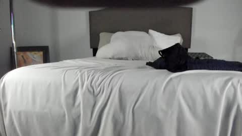 Yaya online show from October 5, 11:30 am