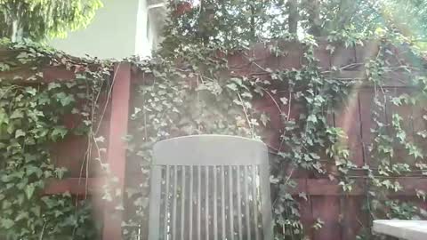 Playful Sammie online show from May 17, 8:05 pm