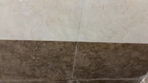 Snapshot of samnivin chatting on November 1, 5:04 pm samnivin online show from November 1, 5:04 pm