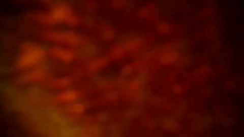 samueltal online show from September 22, 9:50 pm