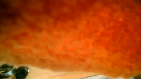 samueltal online show from October 16, 7:37 pm