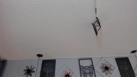 Samy  online show from October 23, 11:42 am