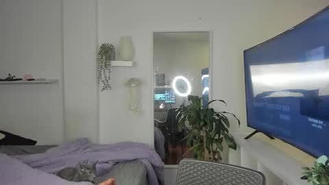 kitty online show from November 19, 12:43 am