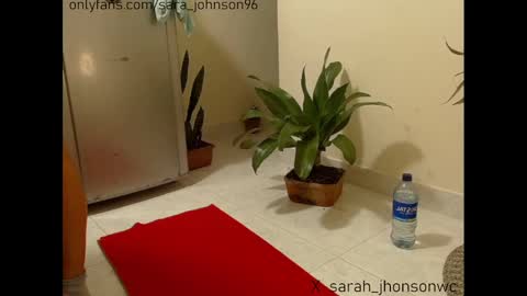 Snapshot of sara_johnson__ chatting on December 27, 5:48 pm sara_johnson__ online show from December 27, 5:48 pm