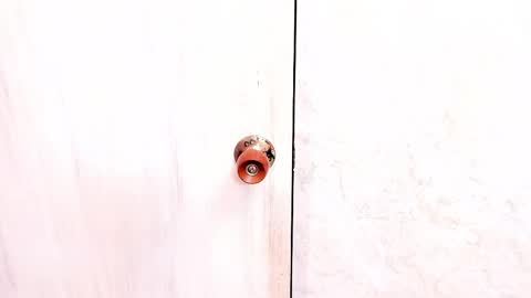 Sasha  online show from November 2, 8:11 pm