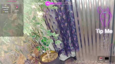 Snapshot of sassylatin45 chatting on January 12, 1:21 am sassylatin45 online show from January 12, 1:21 am