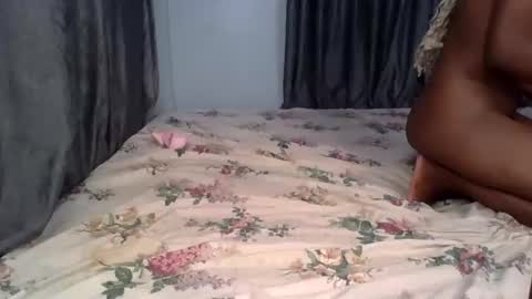 pety online show from April 20, 6:31 pm