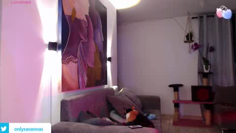 Savannaredhair 33 Angelebony33 online show from September 10, 11:27 pm