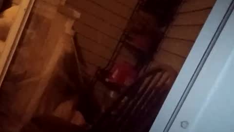 savy5150 online show from April 13, 5:02 am