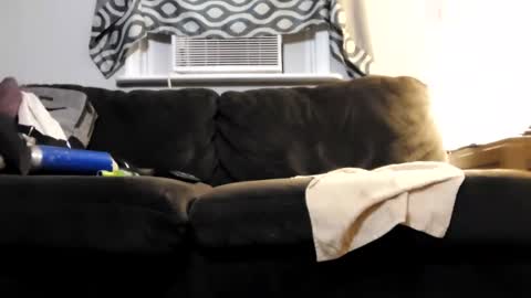 sayhi2mylilguy online show from February 22, 7:45 am